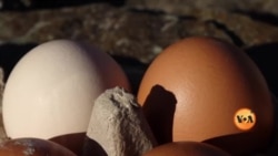 امریکہ میں برڈ فلو؛ انڈوں کی قیمتیں کب معمول پر آئیں گی؟
