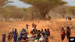 Somalis fleeing hunger in their drought-stricken nation walk along the main road leading from the Somalian border to the refugee camps around Dadaab, Kenya