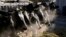FILE - A line of Holstein dairy cows feed through a fence at a dairy farm in Idaho. Funk Dairy near Murtaugh, Idaho, is the subject of a human trafficking lawsuit. 