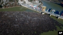 Foto udara menunjukkan berbagai sampah plastik dan kayu memenuhi sungai Drina di sebelah timur kota Visegrad, Bosnia (foto: dok).