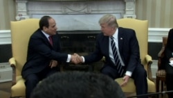 Trump: 'Very Much Behind' Egypt, President Sissi