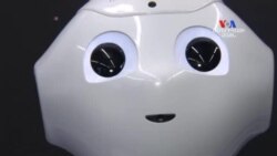 SHORT VIDEO: Ճապոնական նոր ռոբոտը ծիծաղում է