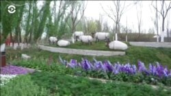 Китай объявил о строительстве «экологической цивилизации»