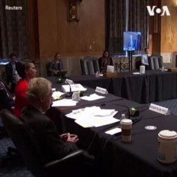 华盛顿市官员呼吁国会通过立法给予州地位