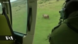 Vifaru wapatiwa ulinzi maalumu dhidi ya wawindaji haramu