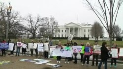 Протест против оружия