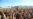 Waspadai Corona, Festival Musik Coachella Ditunda