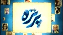 پرتره-پطرس پالیان، فیلم بردار