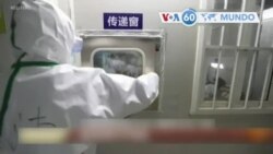 Manchetes Mundo 19 Fevereiro 2020: Ressurgimento da guerrilha na Colômbia