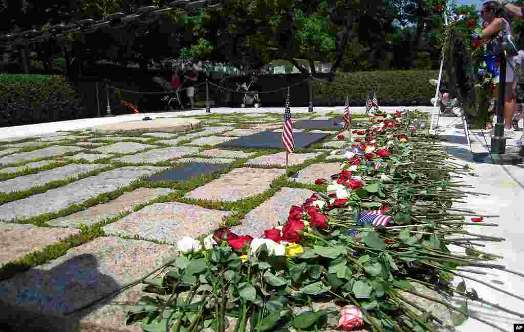 [메모리얼 데이] 이모저모