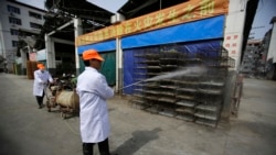 တရုတ်နိုင်ငံ ဟူနန်ပြည်နယ်မှာ H5N1 ငှက်တုပ်ကွေး ကူးစက်ပျံ့နှံ့