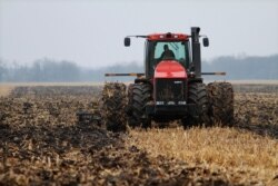 FILE - FILE - A farmer cultivates his field near Farmingdale, Ill., Dec. 4, 2009, turning what remains of the plants back into the soil. A new study suggests no-till farming, in which fields are left alone between harvest and planting, releases less greenhouse gas.