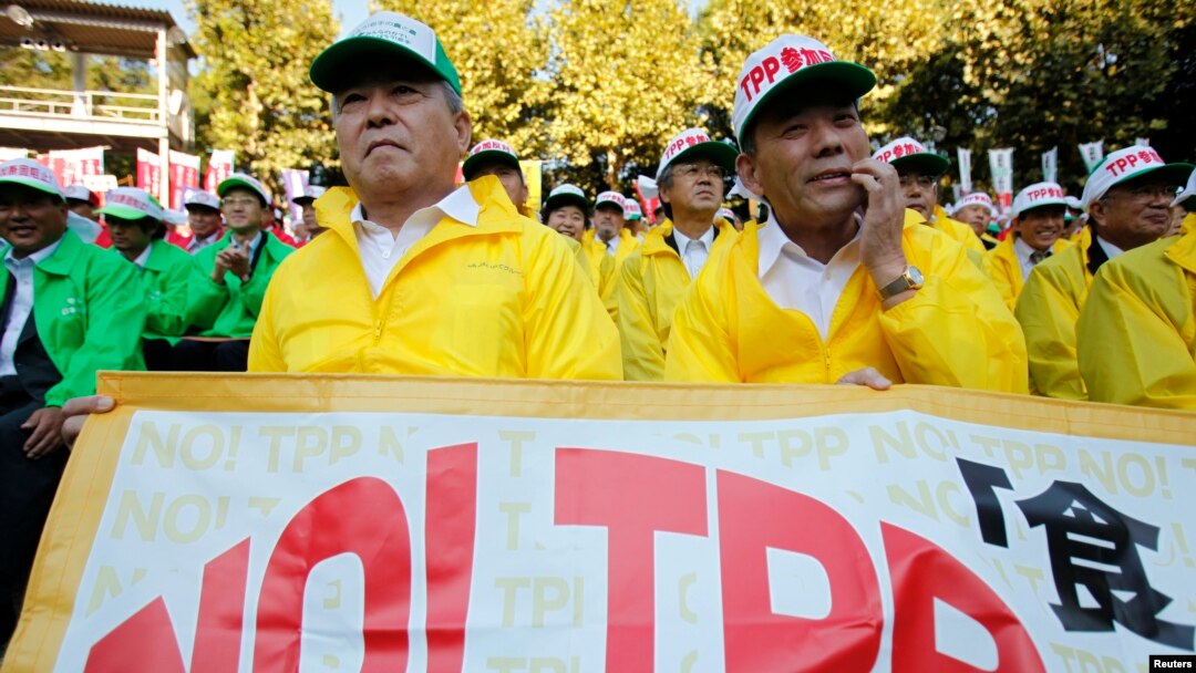 Hình tư liệu - Các nông dân tham gia biểu tình chống lại việc Nhật Bản tham gia đàm phán TPP ở Tokyo.
