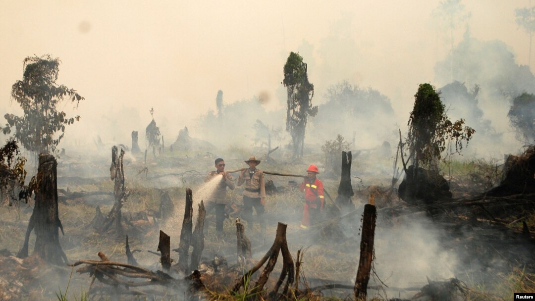 Police and firefighters try to extinguish a forest fire in a village in Riau province, Sumatra, Indonesia, Aug. 28, 2016.