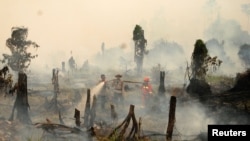 Police and firefighters try to extinguish a forest fire in a village in Riau province, Sumatra, Indonesia, Aug. 28, 2016.