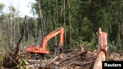 Sebanyak 207 aktivis lingkungan telah ditangkap aparat keamanan dan diproses hukum karena telah menyelidiki dugaan korupsi di sektor sumber daya alam. (Foto: Dok)