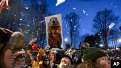 The crowd watches the festivities while waiting for Punxsutawney Phil, the weather prognosticating groundhog, to come out and make his prediction during the 139th celebration of Groundhog Day on Gobbler's Knob in Punxsutawney, Pa., Feb. 2, 2025.