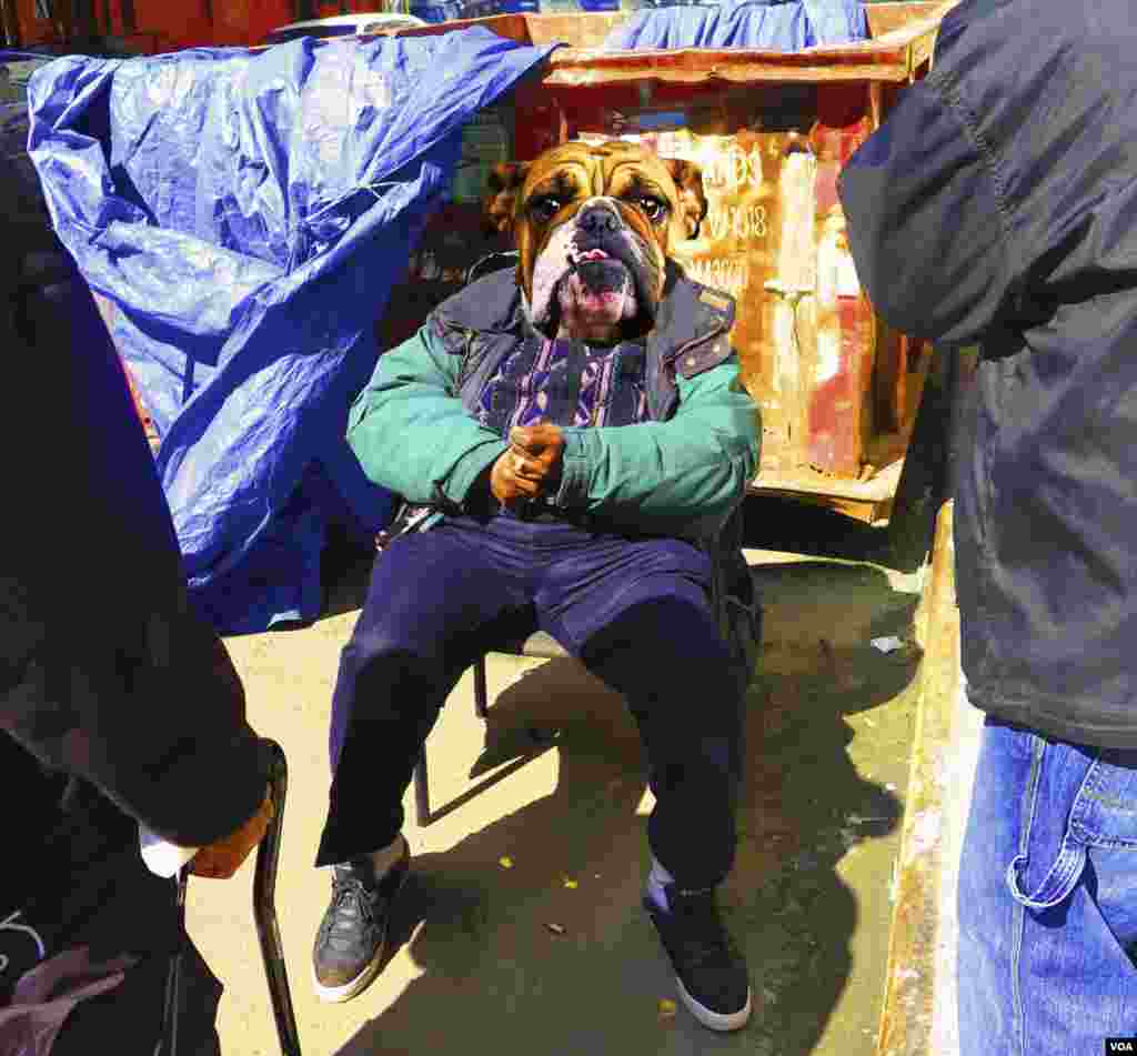 D'Angelo Hayward, My Dawg 