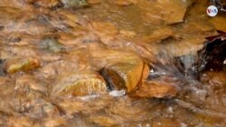 CIENCIA: Tierras raras provenientes de aguas contaminadas