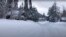 A thick layer of snow is seen around Placer County, California, Dec. 28, 2021. (Jessica Boyles via Reuters)