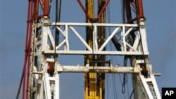 دکتۆر حسام خالیدی:(نه‌وت و ده‌ستور) ده‌ستور له‌ کاتێکدا داڕێژراوه‌ حکومه‌ت لاواز بوه‌