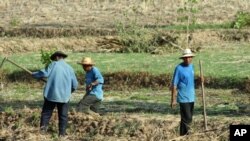 Farm workers in a field near the city of Udon Thani in Thailand's impoverished northeast, 14 May 2010