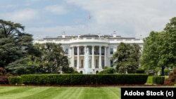 کاخ سفید - آرشیو