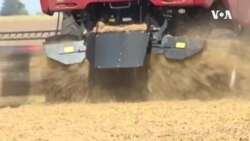 Trump Retaining Backing in Farming Communities Benefiting from Trade, Massive Govt Help