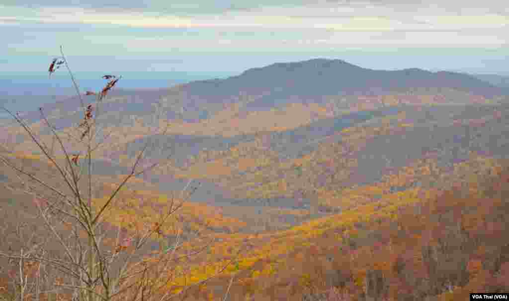 Shenandoah National Park&nbsp;