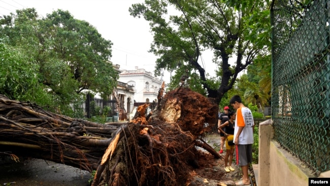 ARCHIVO - La gente se encuentra junto a un árbol arrancado de raíz por los fuertes vientos después de que el huracán Rafael dejó sin servicio eléctrico al país, dejando a 10 millones de personas sin servicio eléctrico, en La Habana, Cuba, el 7 de noviembre de 2024.