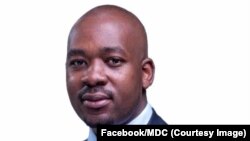 UMnu. Nelson Chamisa