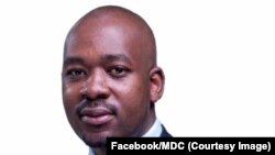 UMnu. Nelson Chamisa