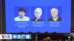 美国之音中文广播 (2026年10月6日) 美国科学家卡尔·戴塞罗斯与德国科学家彼得·黑格曼、格奥尔格·纳格尔共同获得2026年诺贝尔生理学或医学奖