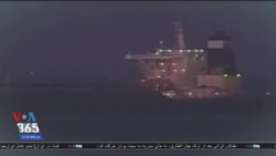 اخبار شامگاهی