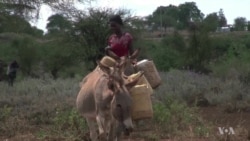 Coca Cola, Local Women At Forefront of Kenya Water Initiative