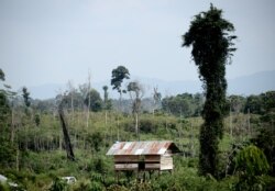 Gubuk kayu di atas panggung, yang digunakan oleh suku "Orang Rimba" di distrik Batang Hari, provinsi Jambi, 19 Mei 2017. (Foto: ilustrasi).