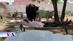 'Bão' covid ở Ấn: Bệnh viện quá tải, dân tự mở 'bệnh viện lộ thiên"