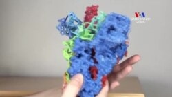 Կորոնավիրուսային խճանկար․ կառավարությունը խոստանում է հաղթել վիրուսին