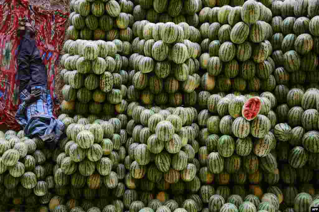 A farmer rests with his watermellons at the fruit market near Hyderabad, India