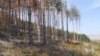 Elements, Humans Put Eastern European Forests Under Stress