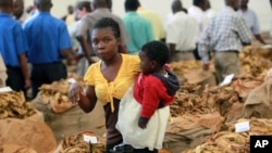 A woman and her baby walk past bags of tobacco early in the selling season in Harare. Zimbabwe thrived on tobacco and other farm exports until the government-instigated seizures, often violent, of white-owned commercial farms starting in 2000, (File)