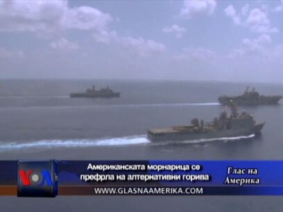 Алги, треви, маснотии од животни
