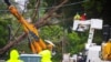 Petugas Energex membersihkan pohon tumbang setelah siklon tropis Alfred lewat di Brisbane pada 8 Maret 2025. (Foto: Patrick HAMILTON/AFP)