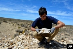 Researchers Uncover International’s Oldest Tadpole