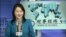 时事经纬(2020年2月29日)