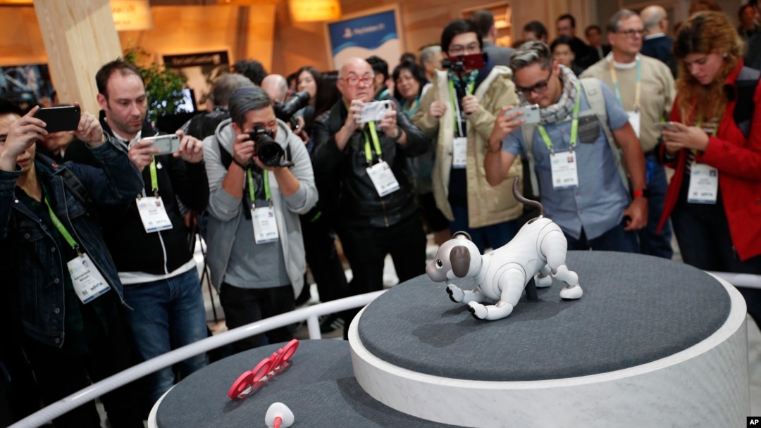 Sony memamerkan "Aibo", anjing robot dalam acara pameran teknologi di Las Vegas, Nevada, AS (11/1). 