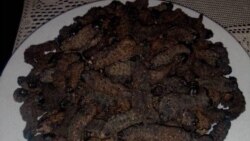 Kuhlelo Lwamasiko: Sixoxa loMartin Mlilo