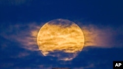 "Розовая" Луна при прохождении перигея в полнолуние, Сан-Франциско, Калифорния, 26 апреля 2021 года