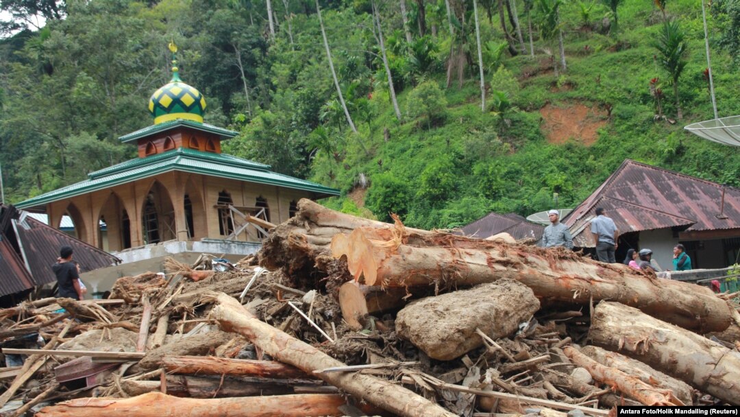 Dân làng đứng trên thân cây sau khi lũ quét qua làng Muara Saladi, ở Mandailing Natal, tỉnh Bắc Sumatra, Indonesia, ngày 13 tháng 10, 2018. (Antara Foto/Holik Mandailing)