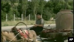 Sietl, Vashington Universiteti/ University of Washington, Seattle